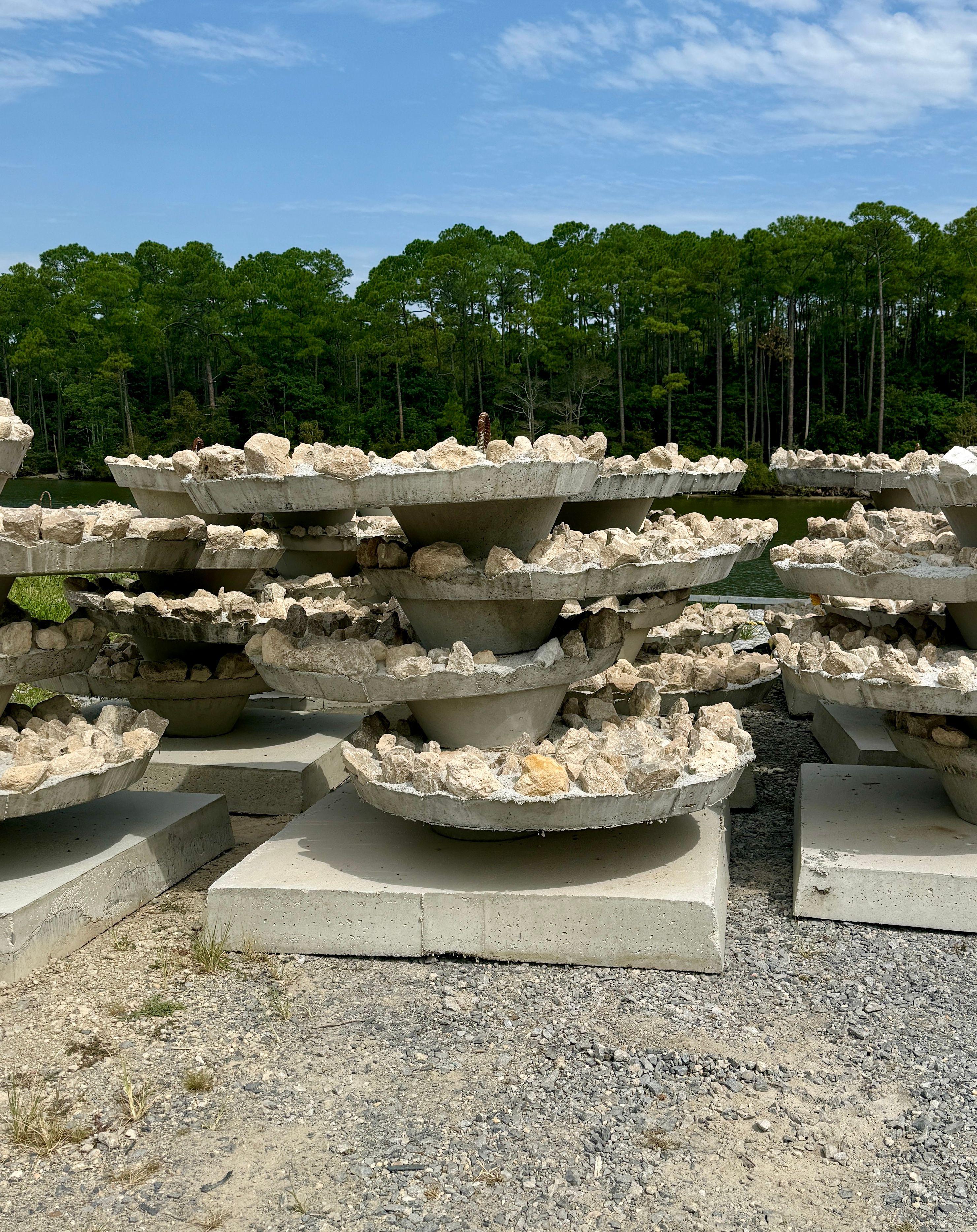Ecosystems Pedestal gallery 4