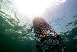 ReefMaker fish aggregating device buoy viewed underwater near the ocean surface