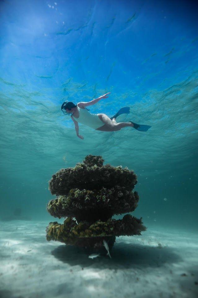 Completed Snorkeling Reef — Snorkeler