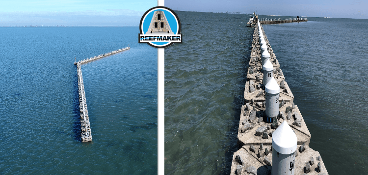 Ecosystems Wave Attenuation System gallery 3