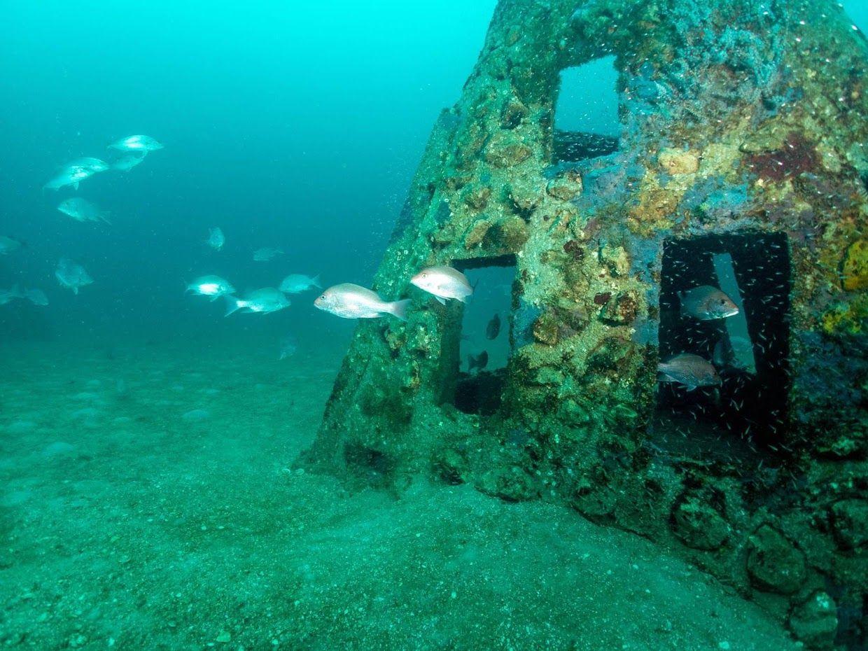 Fish swimming around a limestone-covered artificial reef structure underwater