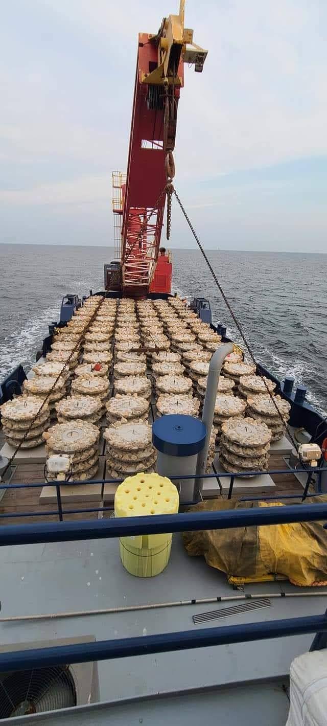 Round reef habitat units arranged on the deck of a work vessel