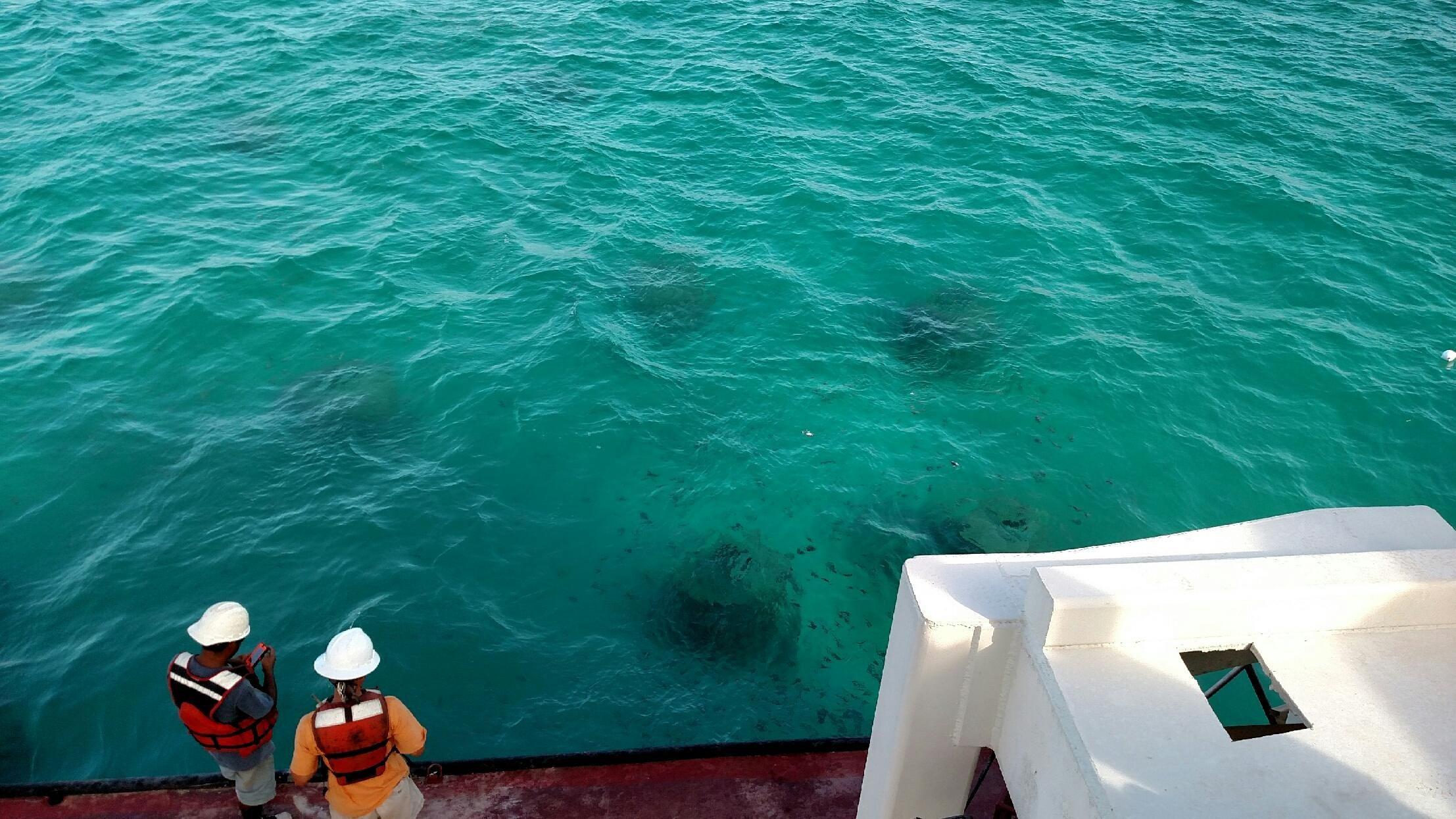 Crew members looking into clear water from a work vessel