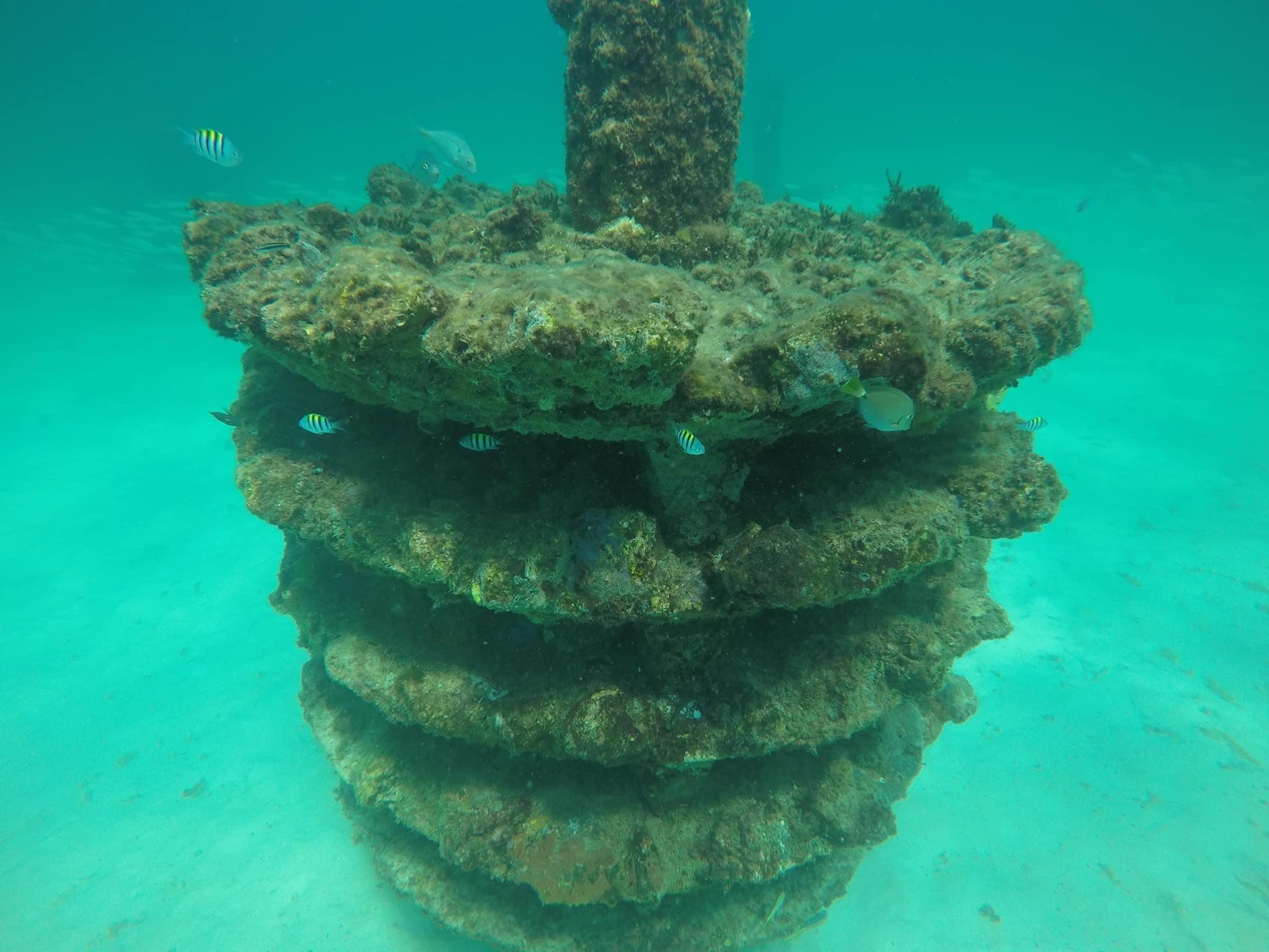 Marine-growth-covered stacked-disc artificial reef habitat underwater