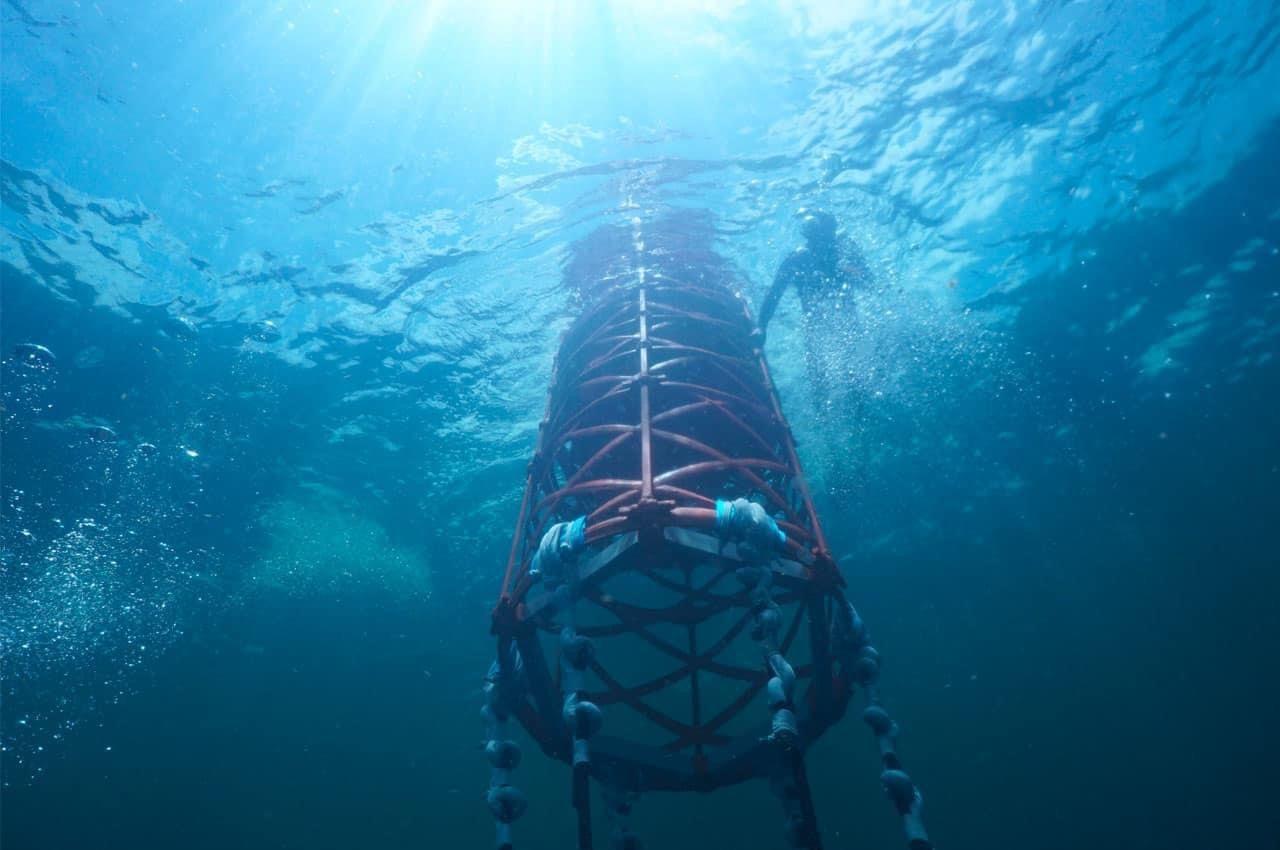 Fish aggregating device viewed from below in open blue water