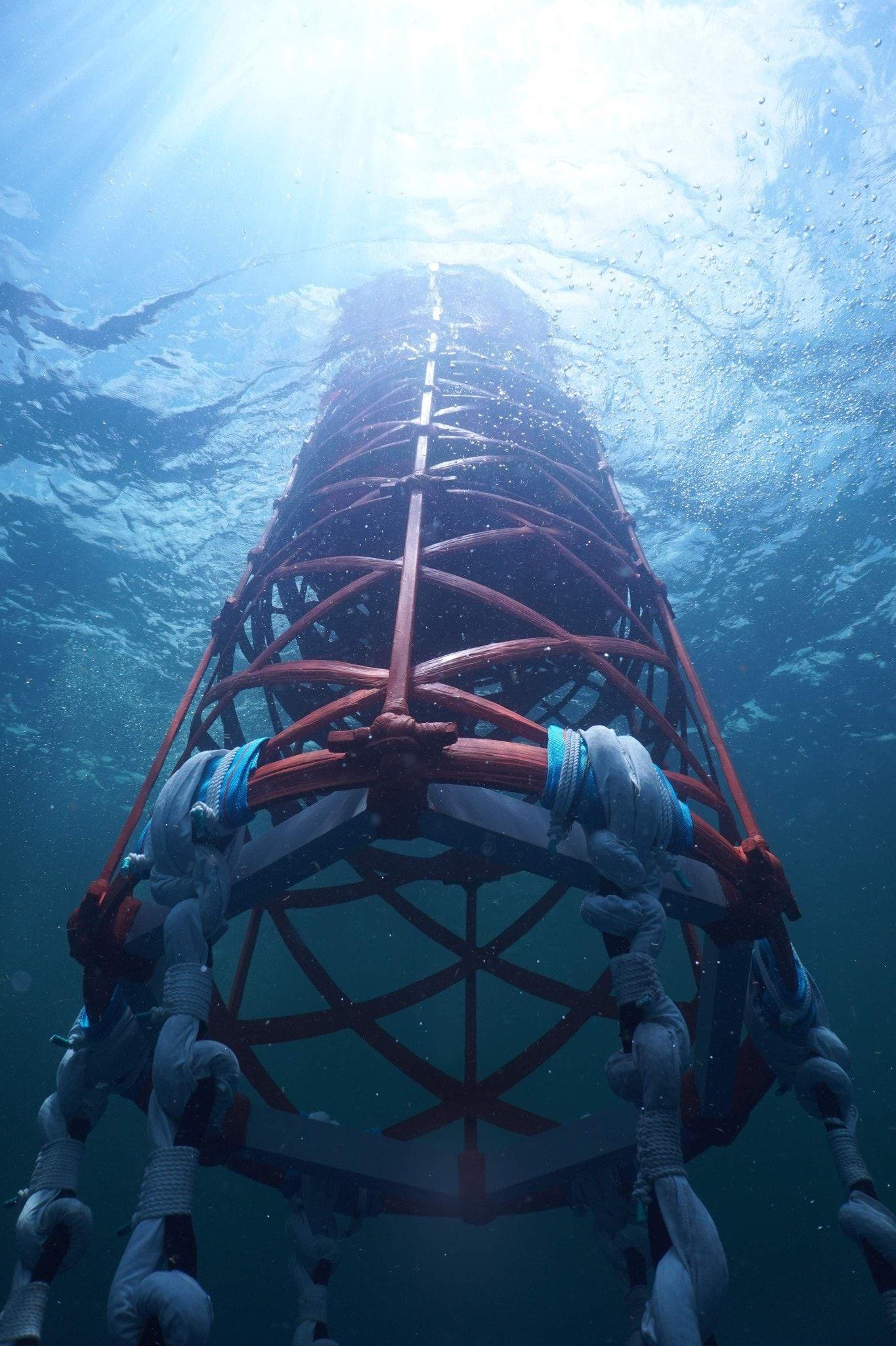 ReefMaker fish aggregating device deployed underwater in the open ocean