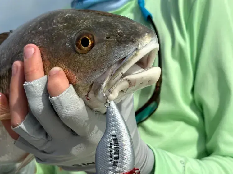 Fall Fishing Gets Bigger and Better in Franklin County