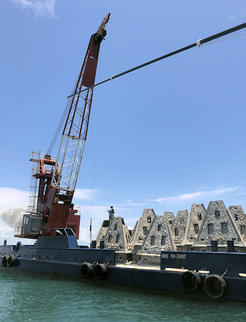 AARA Buddy Ward Artificial Reef Deployment