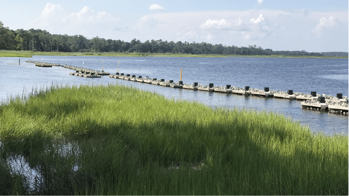 Modular wave attenuation structures installed offshore from a vegetated shoreline