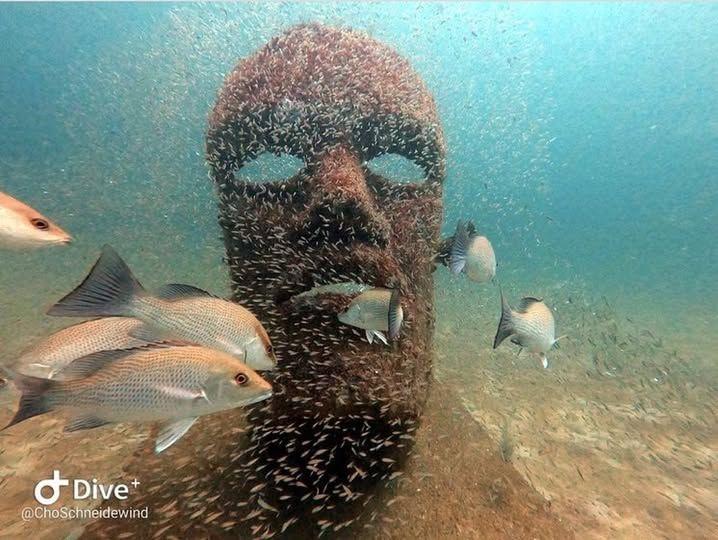 Hope underwater mask sculpture by Jonathan Burger surrounded by fish at the Underwater Museum of Art