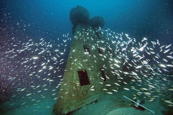 Reef Master