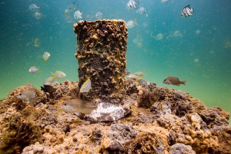 Walter Marine Super Reef module prepared for deployment off Bay County, Florida